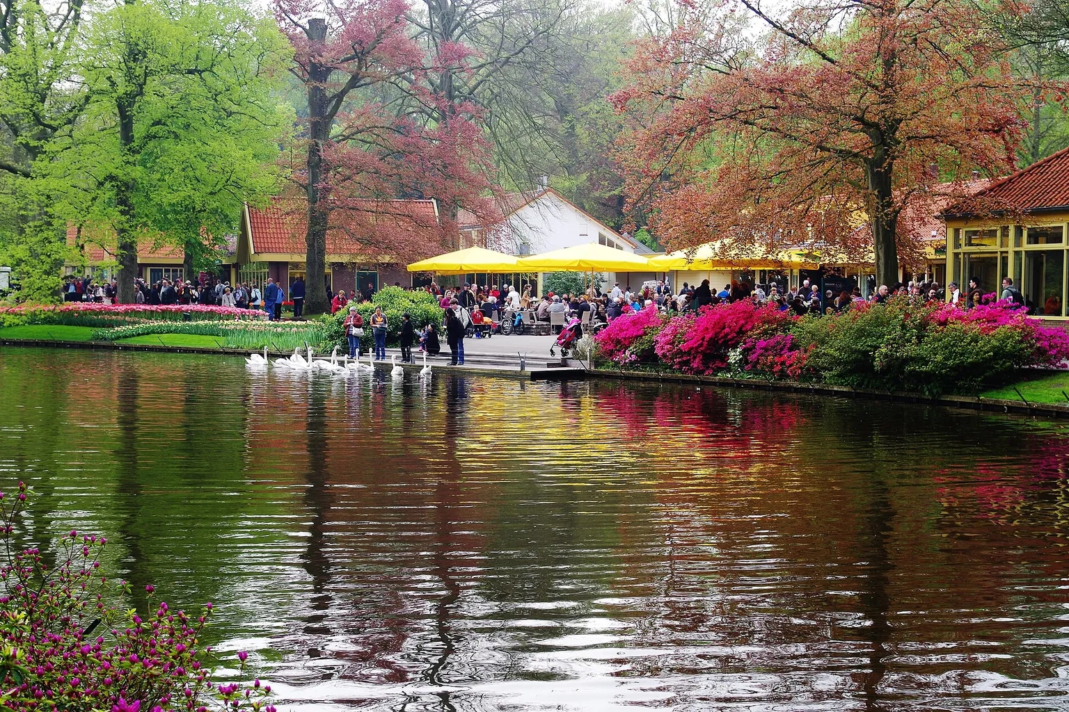 Tickets kaufen Keukenhof: Kostenfallen und Zeitfresser vermeiden