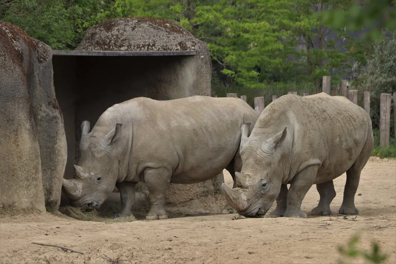 Tierpark Paris Eintritt: Der Weg zum stressfreien Zoobesuch